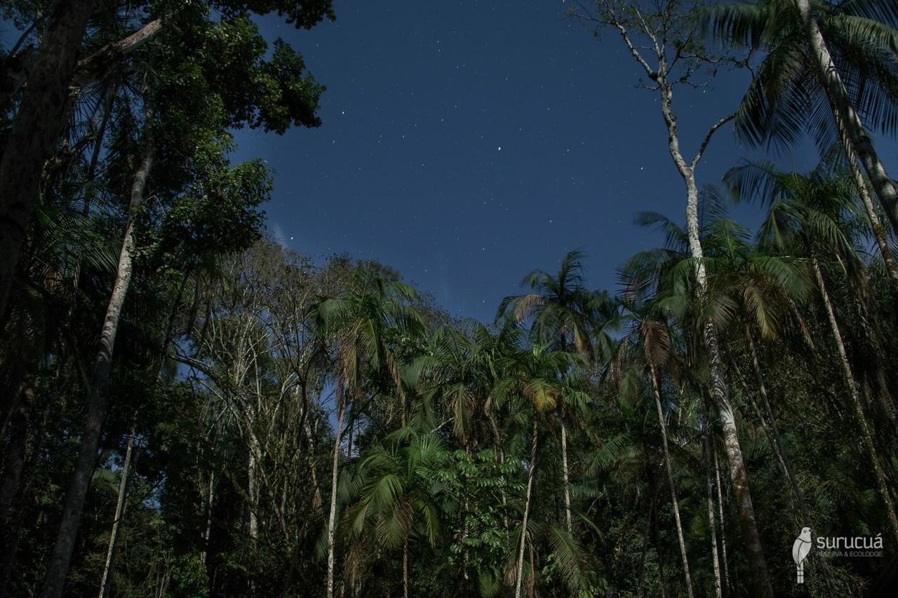 Surucua Reserva & Ecolodge Comandante Andresito Eksteriør billede